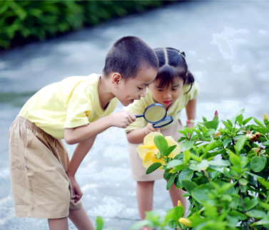 Hoạt Động Thú Vị Trong Những Ngày Hè Cho Bé