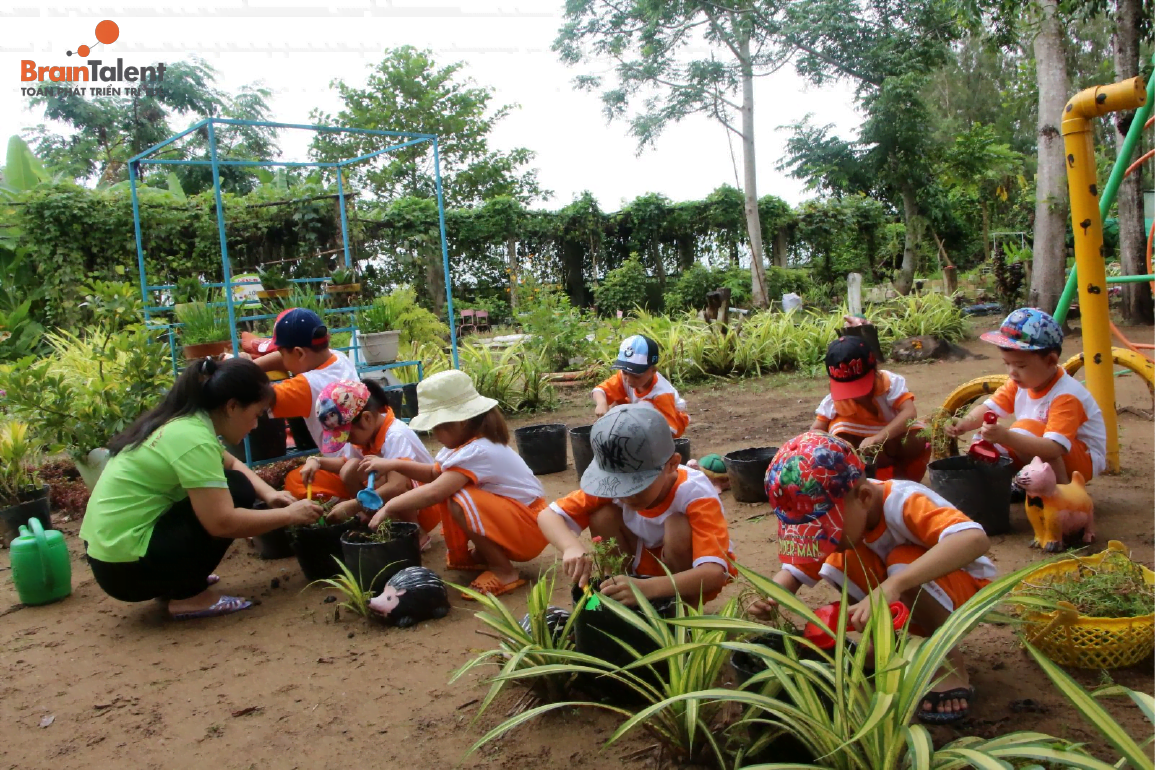 Hoạt động ngoại khóa cho trẻ trồng cây xanh
