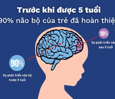 Đặc điểm sự phát triển trí não (não bộ) của trẻ