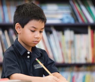 Violympic-la-gi-va-nhung-gia-tri-huu-ich-cho-cac-be